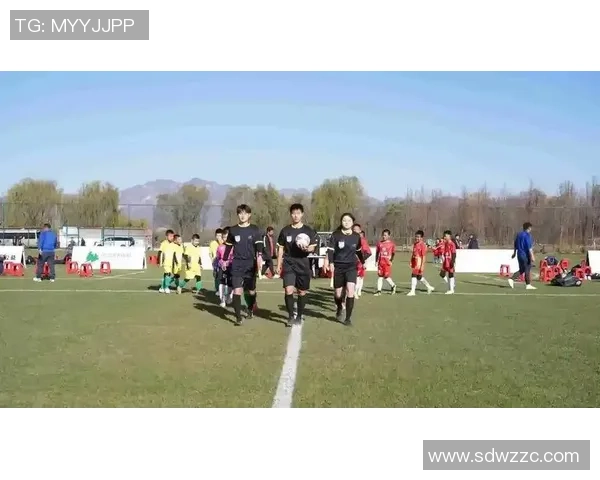 鹏飞足球：助力青少年成长与梦想的足球培训之路